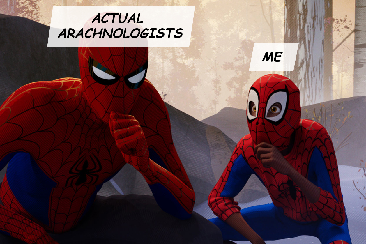 Still from "Spider-Man: Into the Spider-verse", showing an awed Miles Morales ("me") copying Peter B. Parker ("actual arachnologists").
