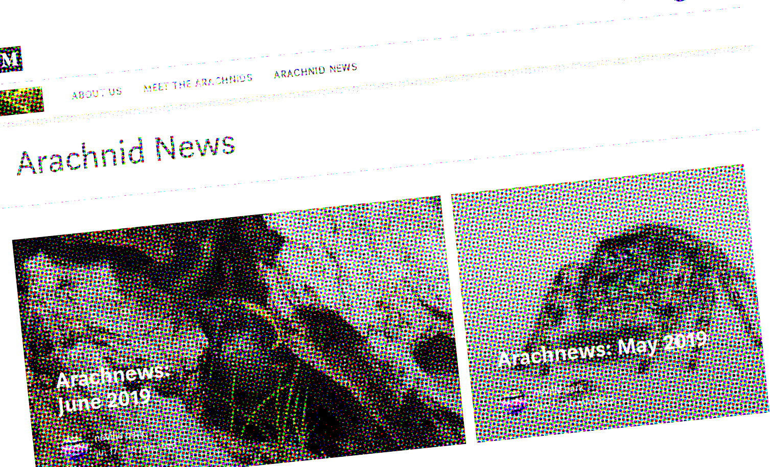 Screenshot of Arachnofiles' news section with newsprint filter