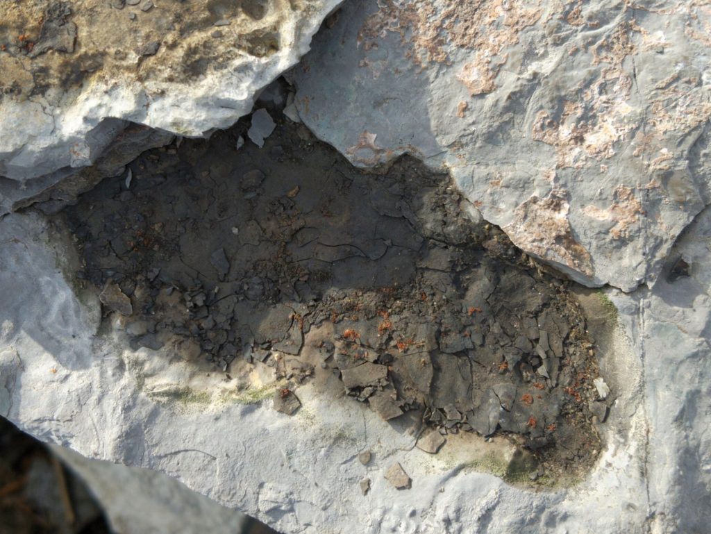 Small red specks visible under the flake of rock