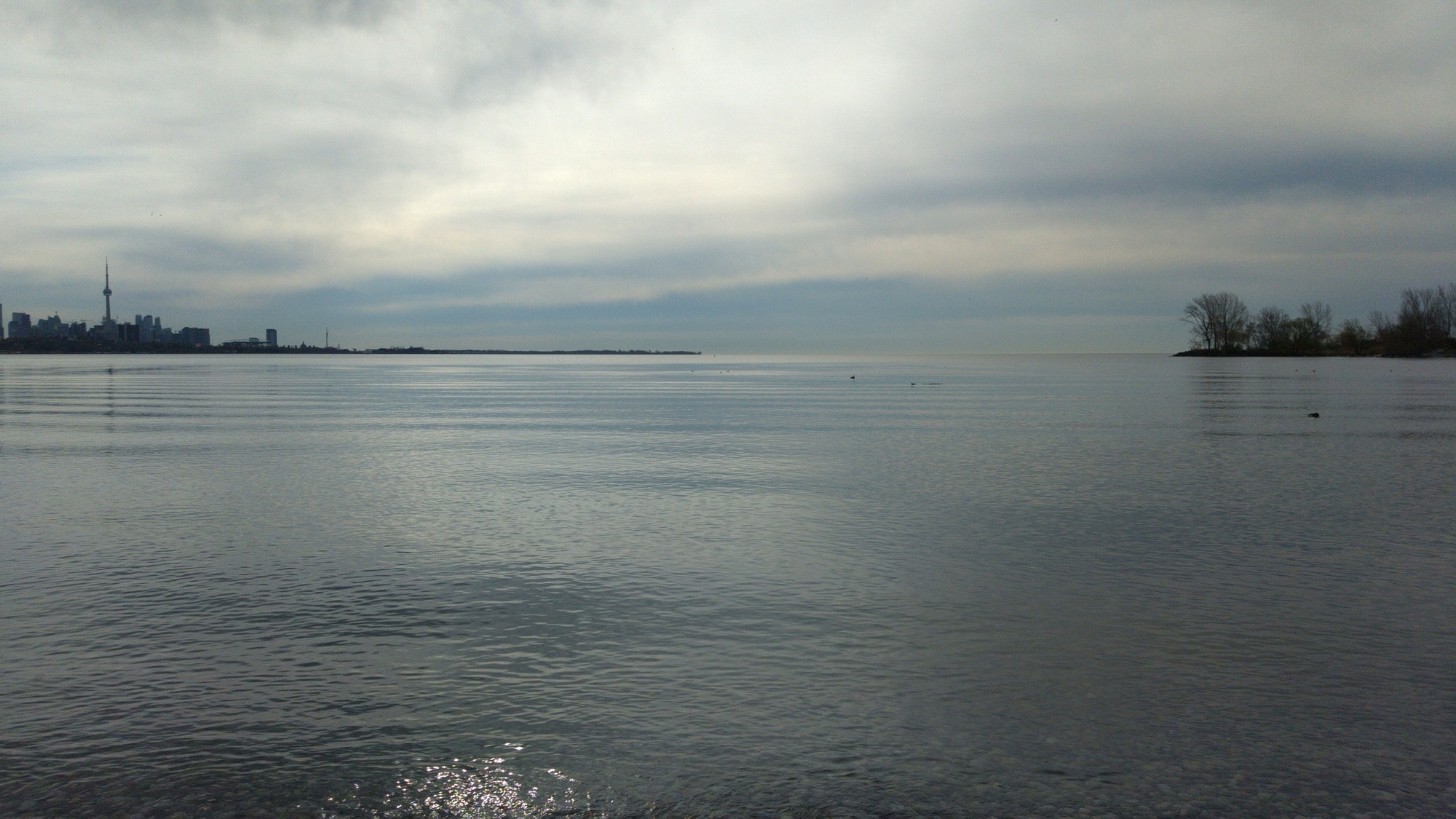 The skyline as seen from Humber Bay Shores Park looking south.