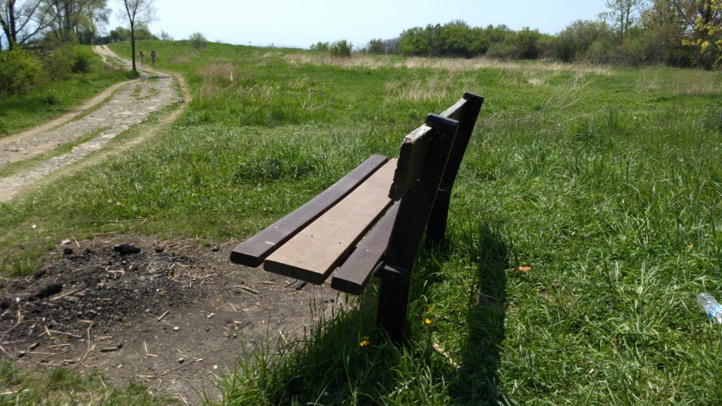 A bench by the trail.