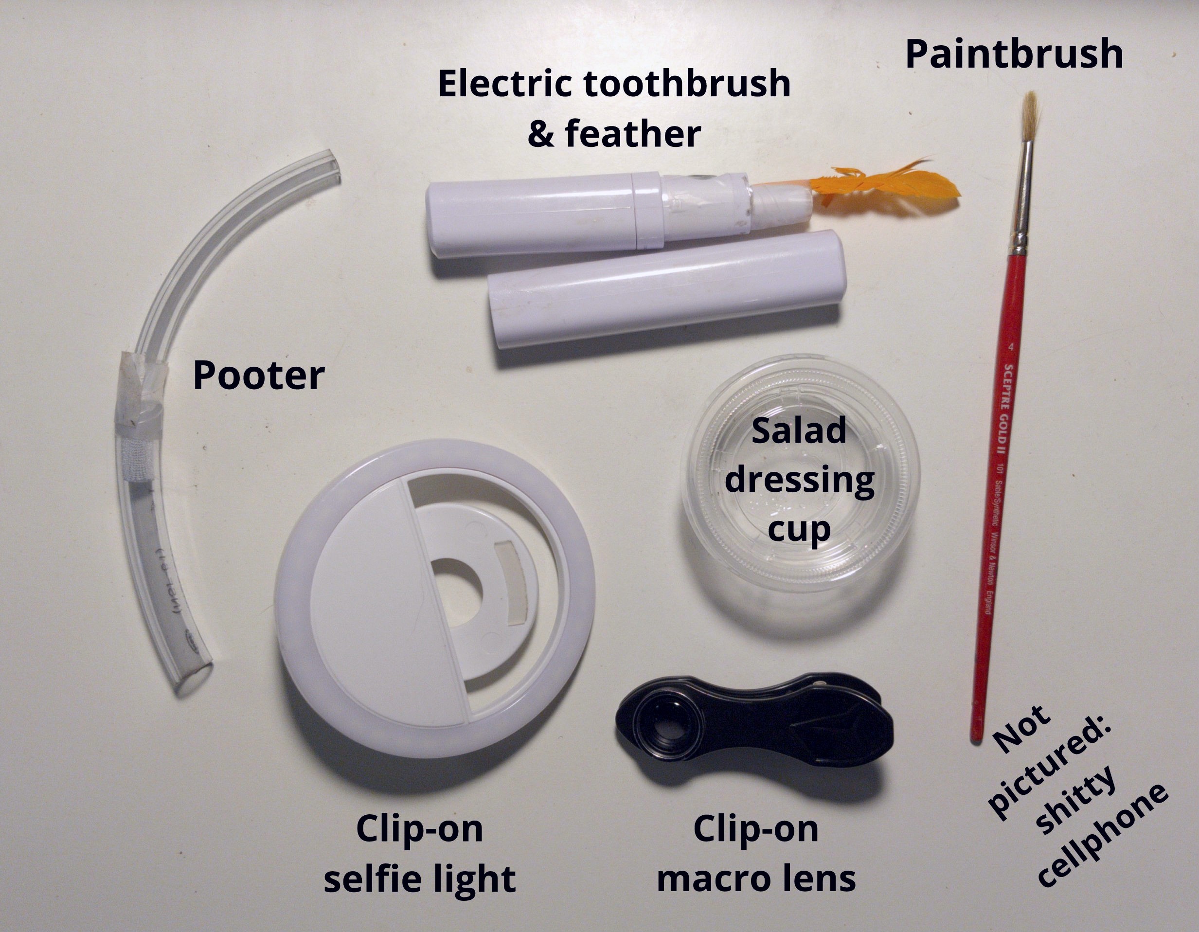 Spidering tools: a pooter made from plastic tubing; an electric toothbrush with a feather on the end; a paintbrush; a selfie ring light; a disposable plastic cup; and a clip-on macro lens