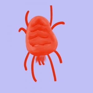 Digital painting of a red velvet mite (Allothrombium)