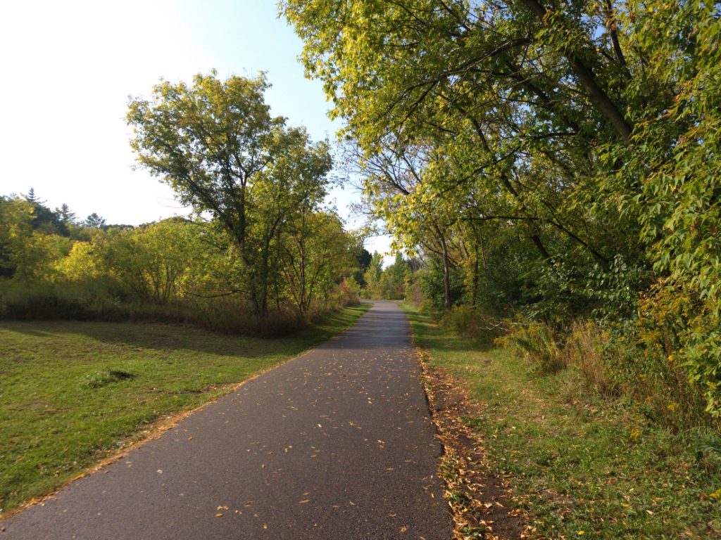 A well-manicured asphalt path through sunny woods and field.