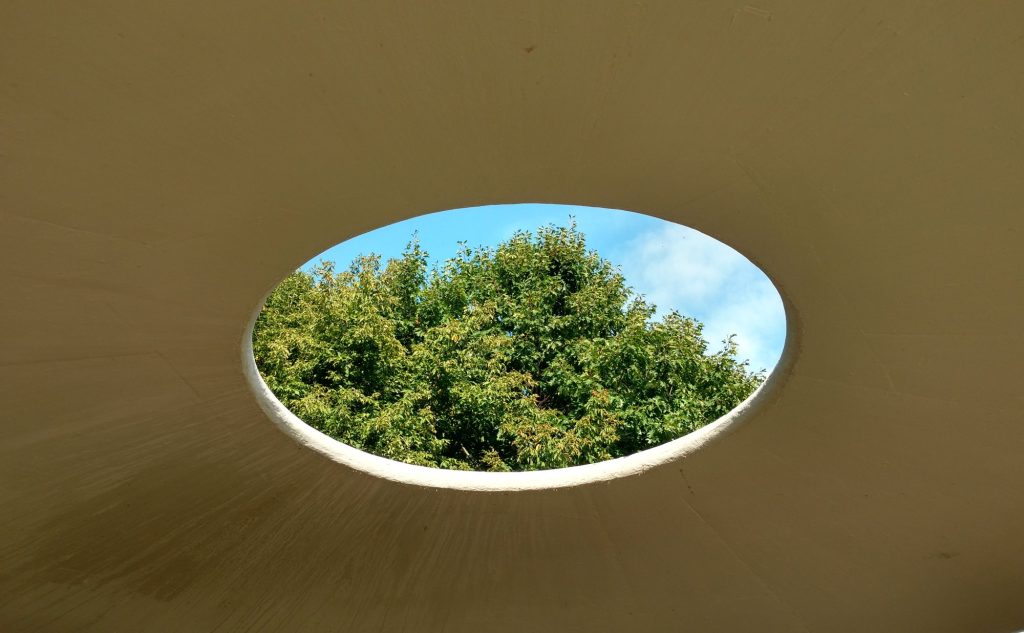 Forest seen through the hole in the Oculus.