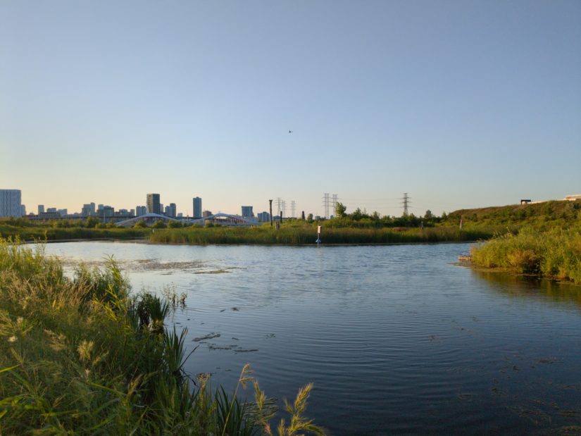 The furthest southeast corner of Biidaasige Park, showing a low vegetated island surrounded by water and wetlands.